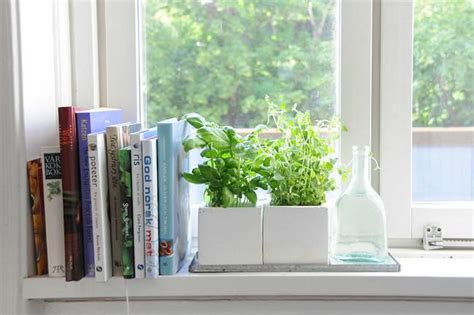 Un mini huerto de plantas aromáticas en la ventana, terraza o jardín nos permitirá autoabastecernos de aromas frescos en cualquier momento. Algunas ideas para decorar tu cocina con plantas ...