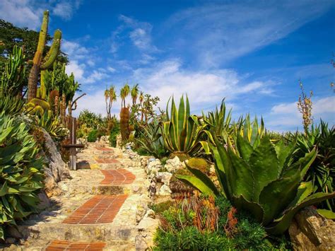 jardin exotique d'Eze Eze, Gardens, Plants, Flowers
