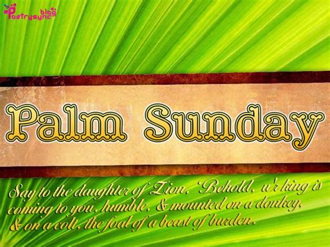Palm Sunday Bible Quotes Quotesgram
