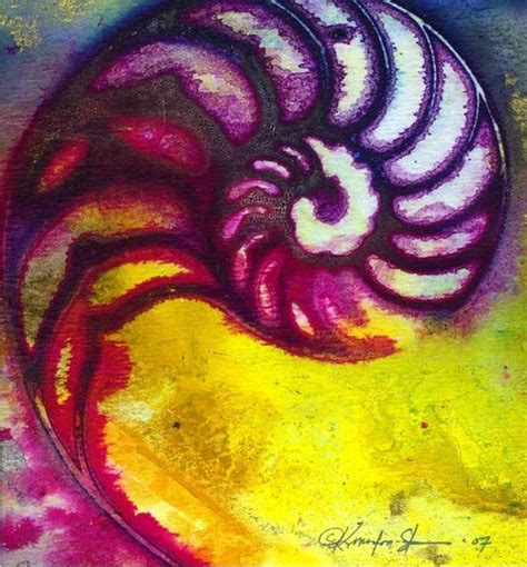 Nautilus Shell 53 By Kathy Morton Stanion From Shell Art