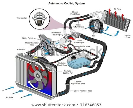 Automotive Thermostat Diagram