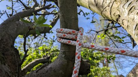 these are the essential outdoor knots every outdoorsman should know