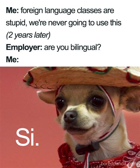 30 Funniest Memes About Spanish Language For People That Tried Learning It Spanish Memes