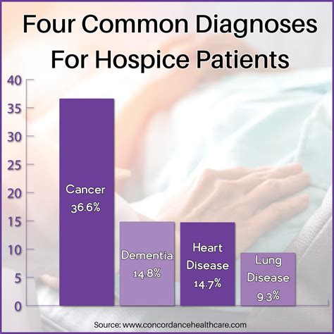 How To Start The Hospice Process
