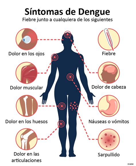 Definición Del Dengue Síntomas Y Variantes Tv Yumurí