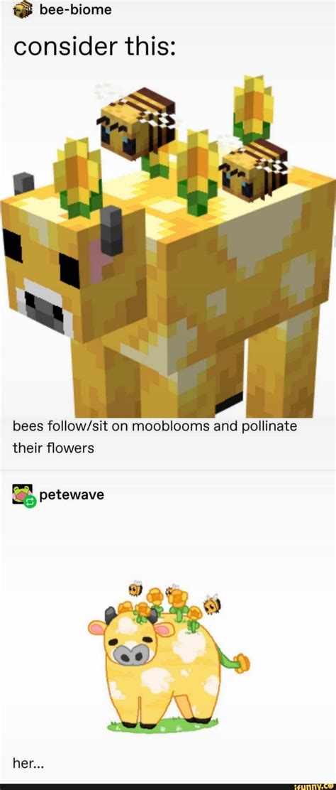 Picture Memes 8an5ham07 By Tybalt 07k Comments Ifunny Minecraft
