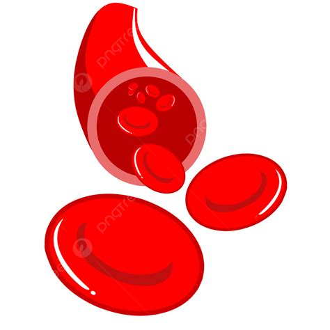 Red Blood Cells Cartoon