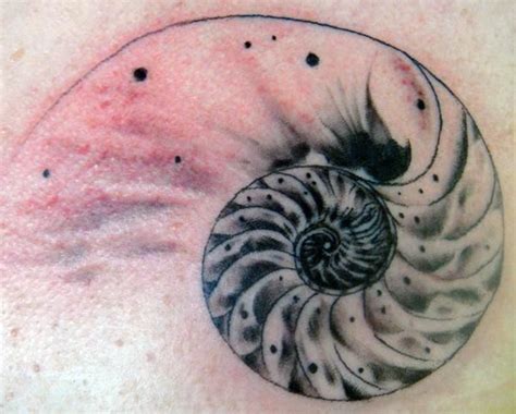 Nautilus Shell Tattoo Free Tattoo Tattoo Shop Ink Tattoo Body Art