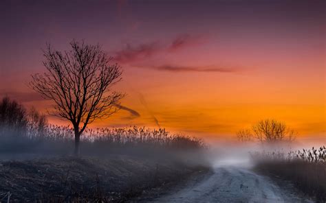 Nature Landscapes Fog Mist Morning Sunrise Sunset Road Skies