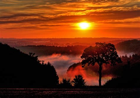 Sunrise Fog Nature Free Photo On Pixabay