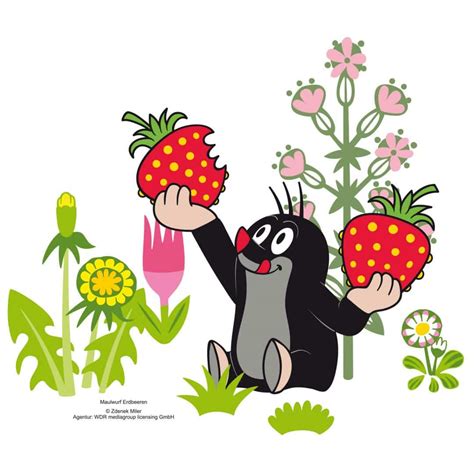 Mole With Strawberries Wall Sticker 80x70cm Wall