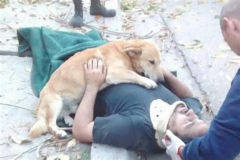 Photo Goes Viral Of Loyal Dog Giving Unconscious Owner A Hug While