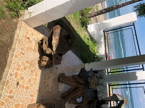 Maybe you would like to learn more about one of these? 300 Sqm Beach House For Rent in San Fernando La Union, La ...