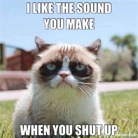 Perfection Funny Grumpy Cat Memes Grumpy Cat Quotes Grumpy Cat Meme