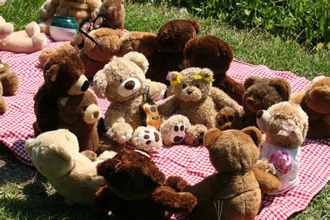 Teddy Bears Picnic My Now Yo Daughter Isabella Made This Flickr My