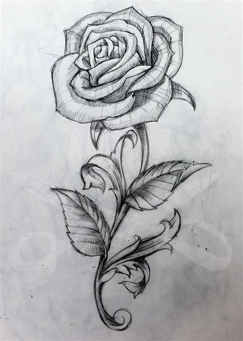 Image result for rose with stem drawing | Roses drawing, Rose drawing