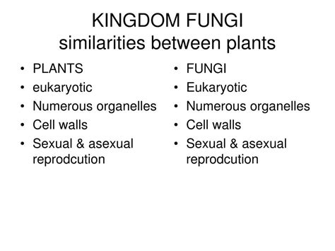 Ppt Kingdom Fungi Similarities Between Plants Powerpoint Presentation