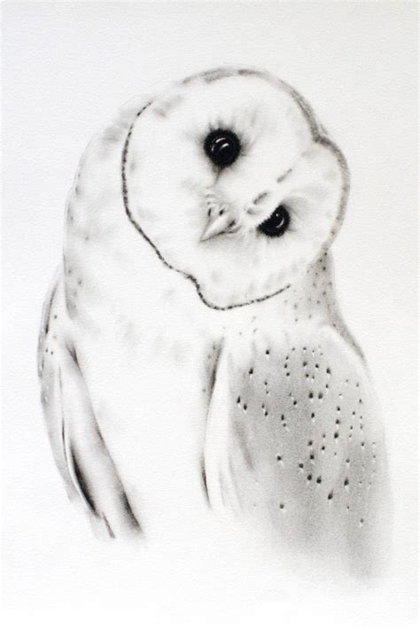Charcoal Drawing Barn Owl Art Owl Sketch By Jaclynsstudio On Etsy