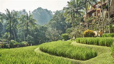 Pemandangan Sawah Vila Four Seasons Sayan Ubud Bali 2 Spotpedia
