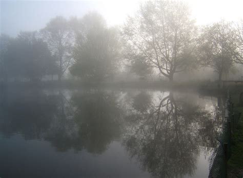 Needham Lake Morning 3 Andrew Hill Flickr