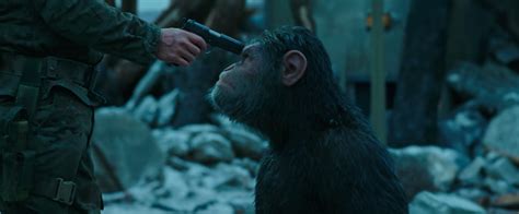 war for the planet of the apes review one of the most significant blockbusters of the decade