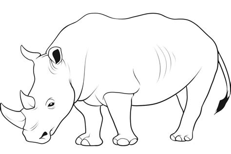 Rhino Pencil Drawing at GetDrawings | Free download