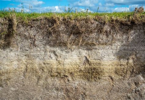 Loamy Soil 101 How To Make And Garden With It Bob Vila
