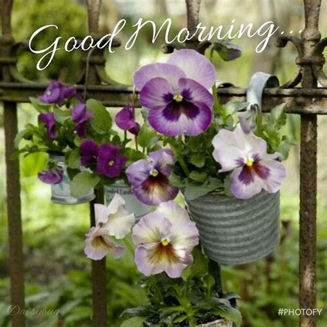 Purple Pansies Are Hanging From An Iron Fence