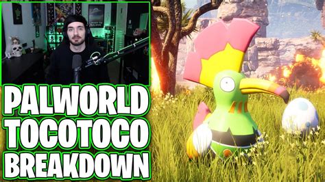 Palworld Meet Tocotoco Breakdown Paldeck 017 Caztecx Youtube