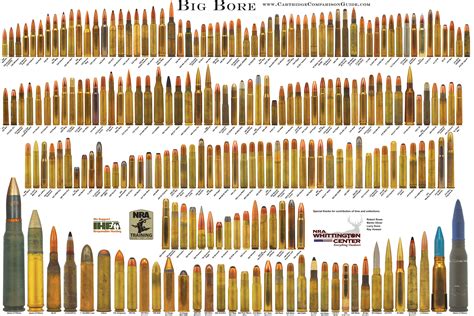 Rifle Rounds Size Chart Riddlep