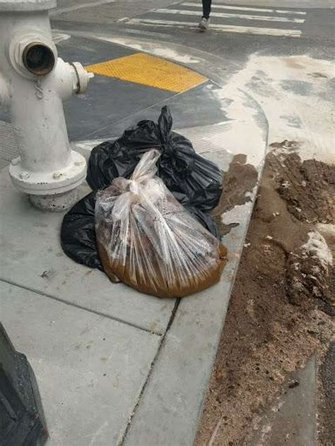 20 Pounds Of Human Waste Dropped On San Francisco Street Corner