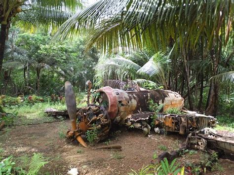 Ww2 Relics On Yap Review Of Japanese Zeros Yap Federated States Of
