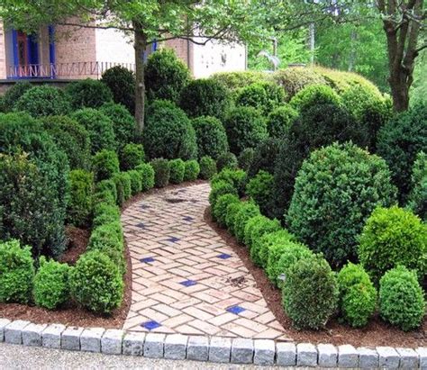 12 Different Ways To Use Boxwoods In The Landscape Boxwood Garden