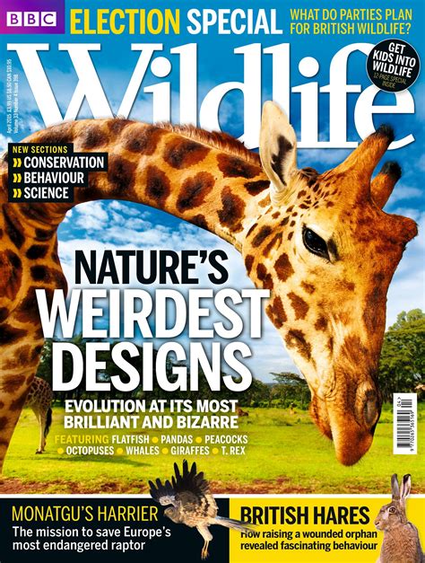 Bbc Wildlife Magazine April 2015