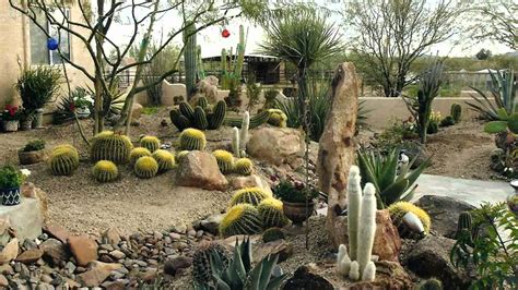 Awesome Desert Landscaping Ideas With Lovely Desert Plants