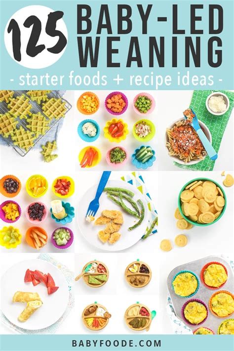 We started baby led weaning with kaitlyn at 6 months old. 125 Baby Led Weaning Foods (Starter + Recipe Ideas ...