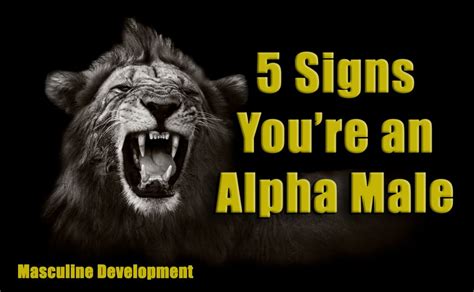 5 Signs Youre An Alpha Male Masculine Development