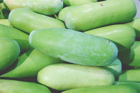 What Is a Winter Melon?