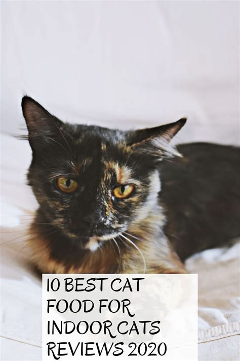 We reviewed dozens of cat foods for indoor cats to identify the best of the best. 10 Best Cat Food for Indoor Cats Reviews 2020 in 2020