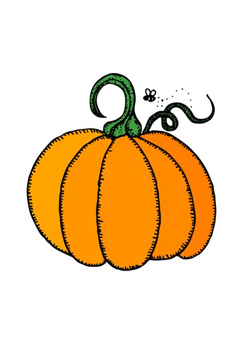 Fall Pumpkin Svg