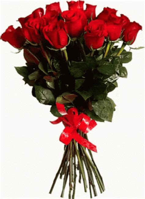 I Love You Red Roses GIF GIFDB Com