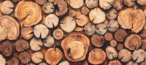 Habitat bioclimatique, isolation et chauffage. Bûche compressée, granulés, plaquettes : quel bois choisir