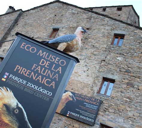Ecomuseo De La Fauna Pirenaica En Aínsa 3 Opiniones Y 5 Fotos