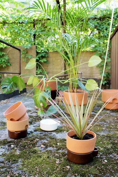 Create your own urban Oasis – Northern | Urban oasis, Flower oasis, Plants