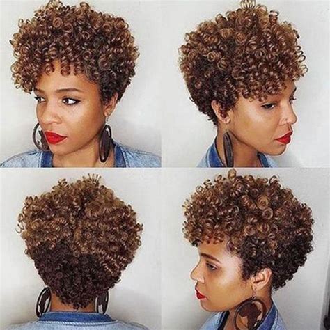 Fina Sassy African American Short Spiral Curly Wig For Women Geek Get Com Natural Hair