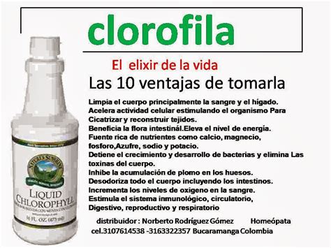 Beneficios De La Clorofila
