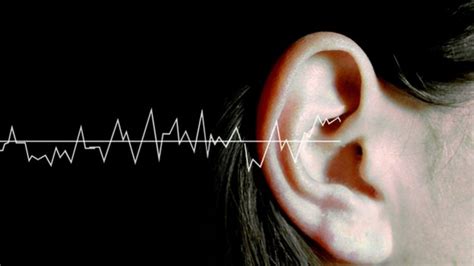 How Can Music Make Your Ears Bleed Bbc News