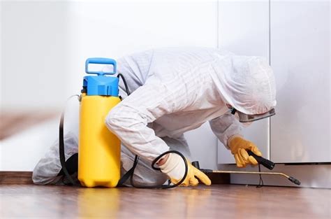 Qualities Of The Best Commercial Pest Control Connect Green