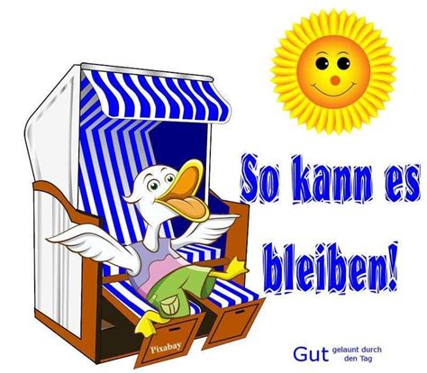 Süßes kätzchen wünscht ihnen einen schönen sonntag. Pin von Rosi Kruse auf Humor | Sommer sprüche, Lustiger ...