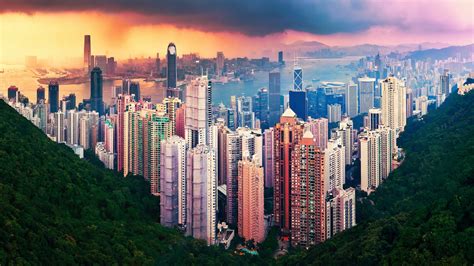 High Rise Buildings Illustration Cityscape Building Hong Kong Hd